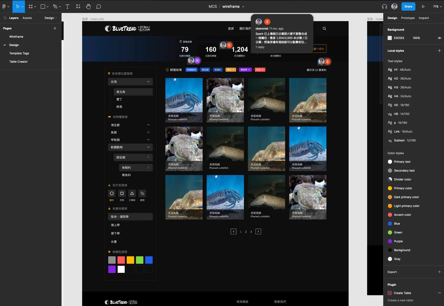 Visual design mockups and frontend framework