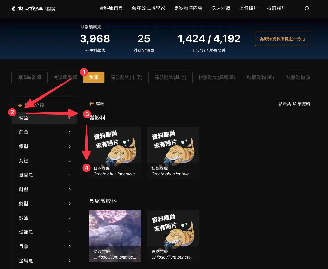 Species search interface - multi-level classification filter